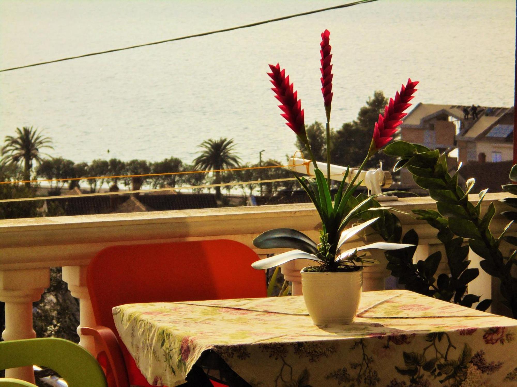 Villa Lastva Apartments Τίβατ Εξωτερικό φωτογραφία